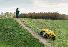 Lawn Mowing Tips for Emsworth & Arundel Gardens Height, Timing & Mistakes to Avoid