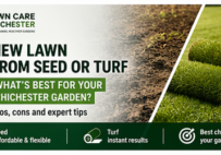New Lawn in Chichester: Should You Use Seed or Turf?