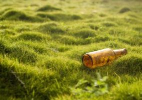 The True Cost of Neglecting Your Lawn Why Maintenance Saves You Money