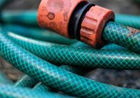 Using a Hosepipe on Your Lawn in Chichester What You Can Do