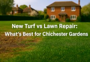Weed Control in Chichester Lawns What Actually Works Long Term