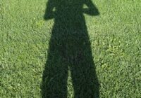 When to Call a Professional Lawn Care Company in Chichester