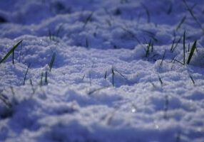 Why Lawn Care Isn’t Just for Summer What to Do in Winter